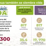 Crean 817 viveros comunitarios con programa Sembrando Vida 12 WhatsApp Image 2022 06 04 at 1.11.54 PM