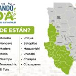 Crean 817 viveros comunitarios con programa Sembrando Vida 11 WhatsApp Image 2022 06 04 at 1.11.54 PM 2