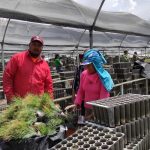 Crean 817 viveros comunitarios con programa Sembrando Vida 8 WhatsApp Image 2022 06 04 at 1.11.56 PM