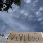 Crean 817 viveros comunitarios con programa Sembrando Vida 2 WhatsApp Image 2022 06 04 at 1.11.59 PM 1