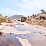 WhatsApp Image 2022 06 04 at 3.12.03 PM 4