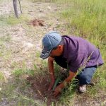 Miembros de etnias, principales sembradores y reforestadores en Chihuahua 1 e0467c7a 8dde 42c0 b086 1e07c48af9ed