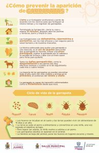 62d0581863655 62d0581863658