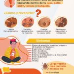 Promueve Salud medidas de atención a síntomas de Rickettsia 1 62e17b890bea5 62e17b890beaa