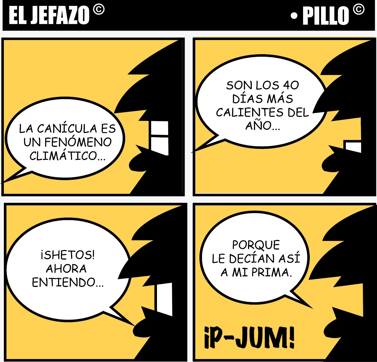Pillo 2