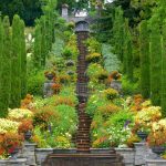 WhatsApp Image 2022 07 04 at 4.47.29 PM