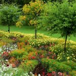 WhatsApp Image 2022 07 04 at 4.47.30 PM