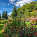 WhatsApp Image 2022 07 04 at 4.47.31 PM