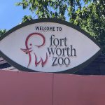 The Fort Worth Zoo: el zoológico más bonito de Texas 1 WhatsApp Image 2022 07 18 at 6.58.51 PM