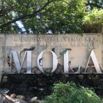 The Fort Worth Zoo: el zoológico más bonito de Texas 9 WhatsApp Image 2022 07 18 at 6.58.58 PM