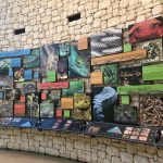 The Fort Worth Zoo: el zoológico más bonito de Texas 7 WhatsApp Image 2022 07 18 at 6.59.06 PM