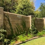 The Fort Worth Zoo: el zoológico más bonito de Texas 6 WhatsApp Image 2022 07 18 at 6.59.10 PM