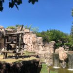 The Fort Worth Zoo: el zoológico más bonito de Texas 4 WhatsApp Image 2022 07 18 at 6.59.17 PM