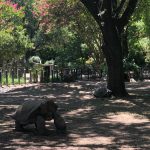 The Fort Worth Zoo: el zoológico más bonito de Texas 2 WhatsApp Image 2022 07 18 at 6.59.22 PM 1