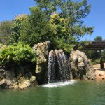 The Fort Worth Zoo: el zoológico más bonito de Texas 3 WhatsApp Image 2022 07 18 at 6.59.22 PM