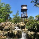 The Fort Worth Zoo: el zoológico más bonito de Texas 19 WhatsApp Image 2022 07 18 at 6.59.23 PM