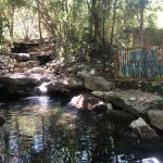 The Fort Worth Zoo: el zoológico más bonito de Texas 13 WhatsApp Image 2022 07 18 at 6.59.24 PM 2