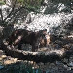 The Fort Worth Zoo: el zoológico más bonito de Texas 12 WhatsApp Image 2022 07 18 at 6.59.24 PM 3