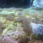 The Fort Worth Zoo: el zoológico más bonito de Texas 11 WhatsApp Image 2022 07 18 at 6.59.25 PM