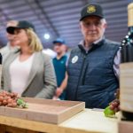 2f920667 dfae 4cc6 9f1a 56f0d6e4e886