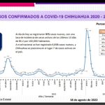 COVID-19: Se registran 975 casos nuevos en el estado, 236 corresponden a Juárez 3 Screenshot 2022 08 18 15 32 26 070