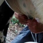 WhatsApp Image 2022 08 17 at 11.41.01 AM 1