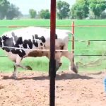 WhatsApp Image 2022 08 17 at 11.41.01 AM