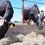 WhatsApp Image 2022 08 17 at 11.41.01 AM 2