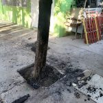 WhatsApp Image 2022 08 17 at 12.23.27 AM