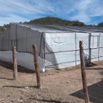 WhatsApp Image 2022 08 31 at 5.21.55 PM