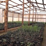 WhatsApp Image 2022 08 31 at 5.21.55 PM 2