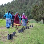 WhatsApp Image 2022 08 31 at 5.22.03 PM 1