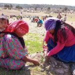 WhatsApp Image 2022 08 31 at 5.22.04 PM 1