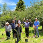 WhatsApp Image 2022 08 31 at 5.22.04 PM