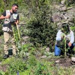 WhatsApp Image 2022 08 31 at 5.22.05 PM