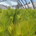 IMG 20220909 WA0052 2