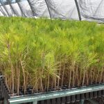 IMG 20220909 WA0053 1