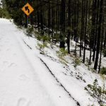 WhatsApp Image 2022 10 06 at 10.53.09 PM