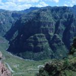 Lleva Bienestar brigada de atención mental a Batopilas 8 WhatsApp Image 2022 10 08 at 10.44.44 AM 1