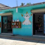 Entregan segunda Tanda para el Bienestar en todo el estado 1 WhatsApp Image 2022 10 12 at 3.31.13 PM