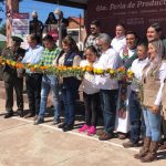 WhatsApp Image 2022 10 20 at 2.43.42 PM