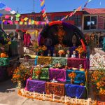 WhatsApp Image 2022 10 20 at 2.43.59 PM