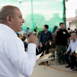 wp-16664952043897035080956795695600