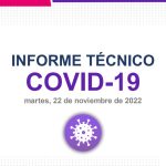 Captura de pantalla 2022 11 22 155240