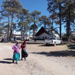 Imagen de WhatsApp 2022 11 11 a las 11