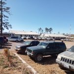 Imagen de WhatsApp 2022 11 11 a las 11.45.29