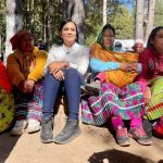 Imagen de WhatsApp 2022 11 14 a las