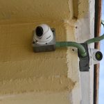 Imagen de WhatsApp 2022 11 14 a las 1