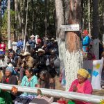 Imagen de WhatsApp 2022 11 14 a las 15.17.