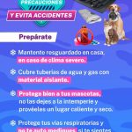 Imagen de WhatsApp 2022 11 15 a las 11.24.00